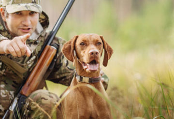 Arme de chasse